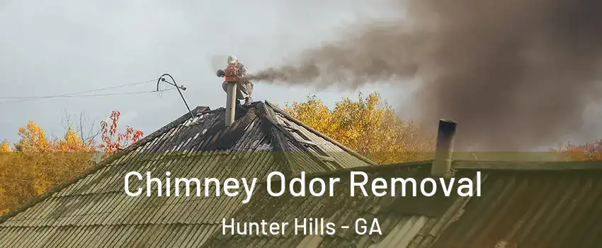 Chimney Odor Removal Hunter Hills - GA