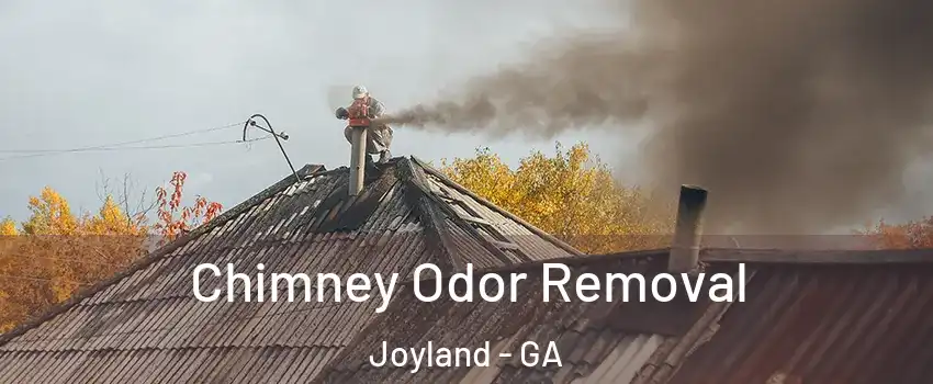 Chimney Odor Removal Joyland - GA