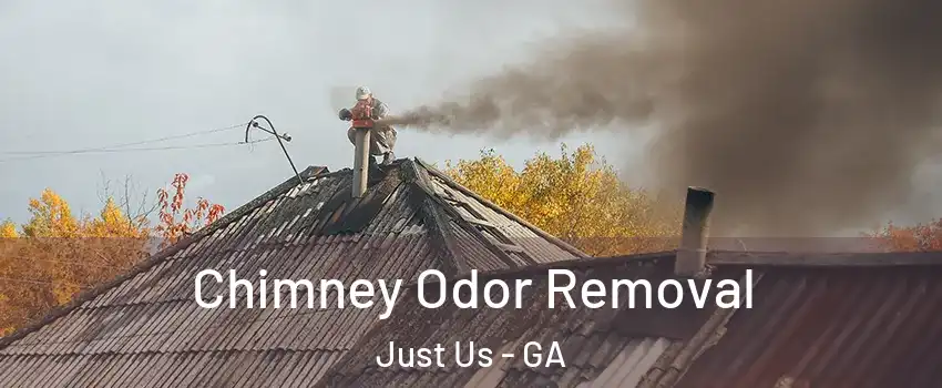 Chimney Odor Removal Just Us - GA