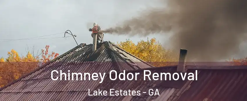 Chimney Odor Removal Lake Estates - GA