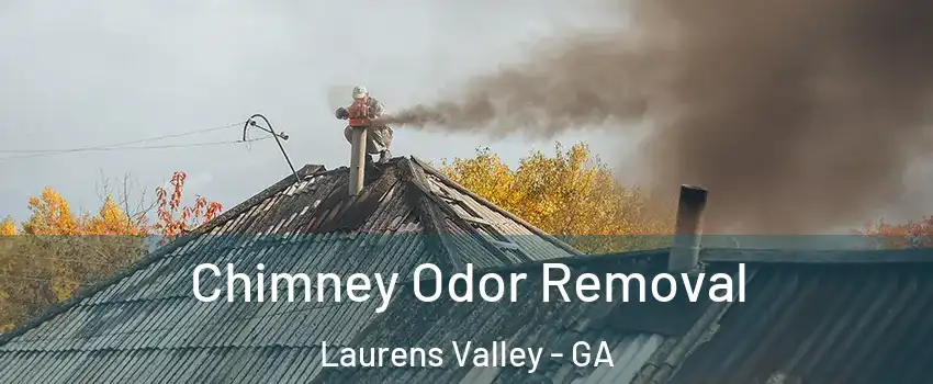 Chimney Odor Removal Laurens Valley - GA