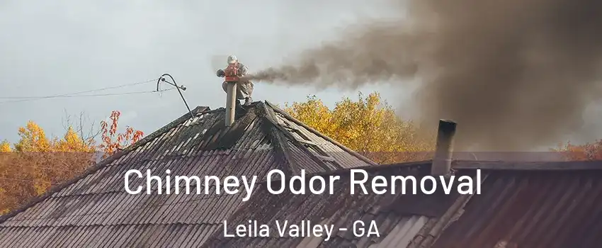 Chimney Odor Removal Leila Valley - GA
