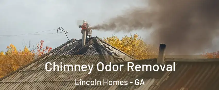 Chimney Odor Removal Lincoln Homes - GA
