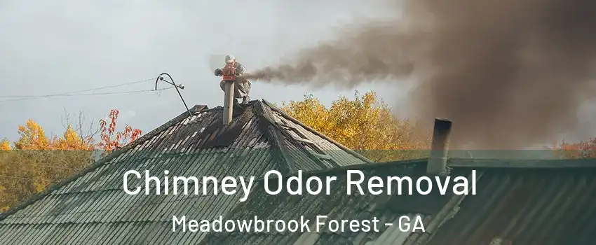 Chimney Odor Removal Meadowbrook Forest - GA