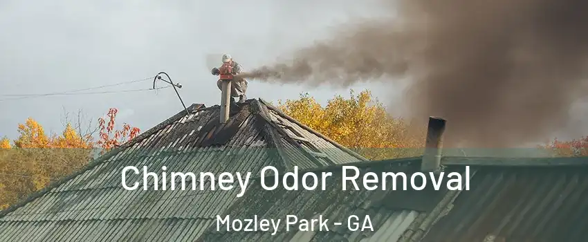 Chimney Odor Removal Mozley Park - GA