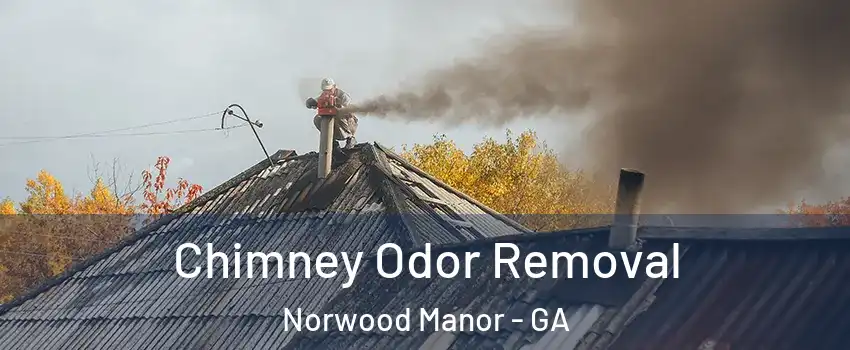 Chimney Odor Removal Norwood Manor - GA