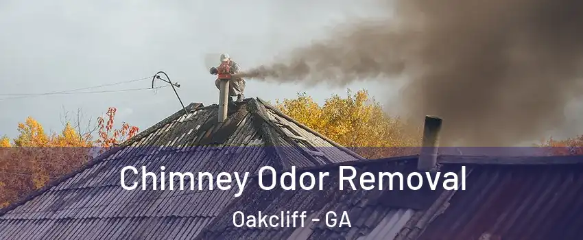 Chimney Odor Removal Oakcliff - GA