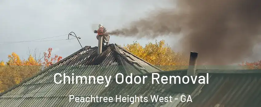 Chimney Odor Removal Peachtree Heights West - GA