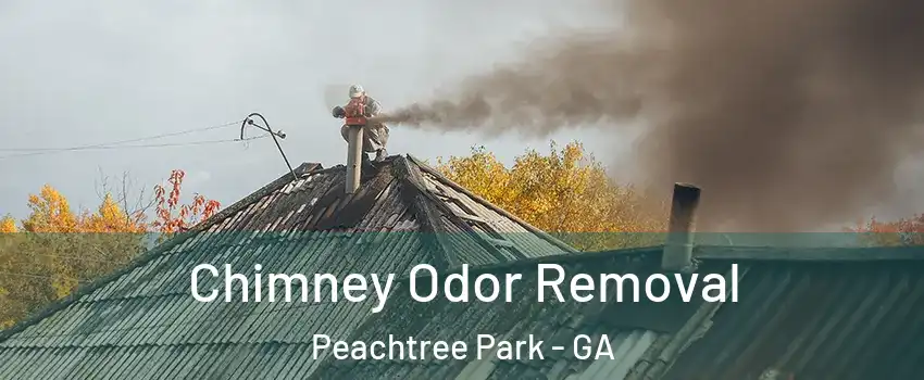 Chimney Odor Removal Peachtree Park - GA