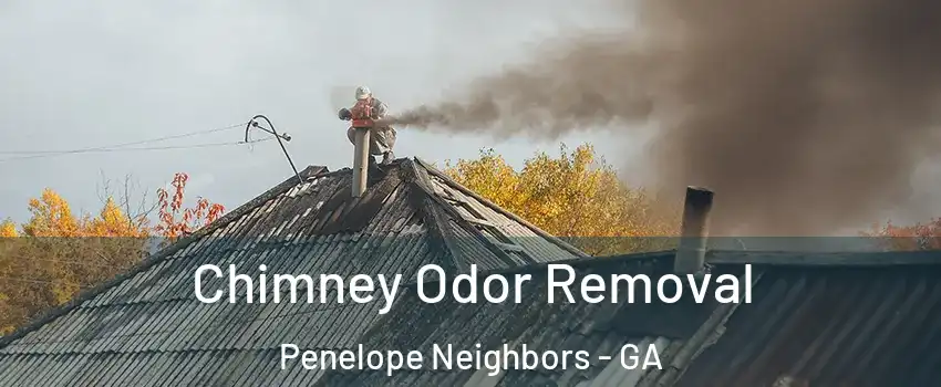 Chimney Odor Removal Penelope Neighbors - GA