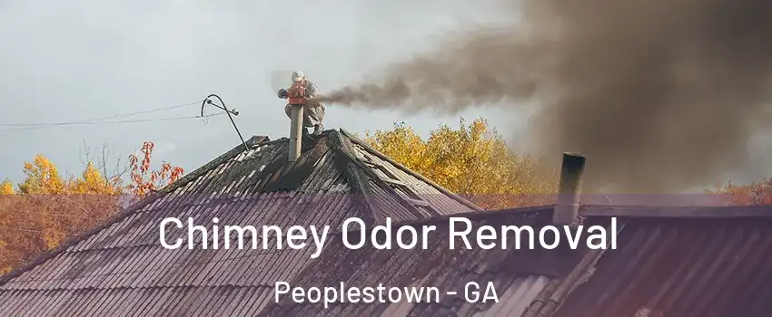 Chimney Odor Removal Peoplestown - GA