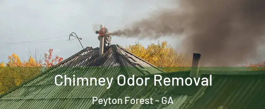 Chimney Odor Removal Peyton Forest - GA