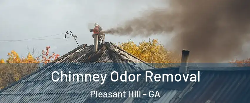 Chimney Odor Removal Pleasant Hill - GA