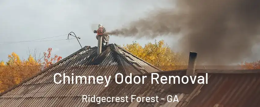 Chimney Odor Removal Ridgecrest Forest - GA