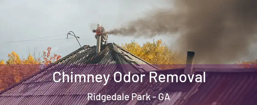 Chimney Odor Removal Ridgedale Park - GA