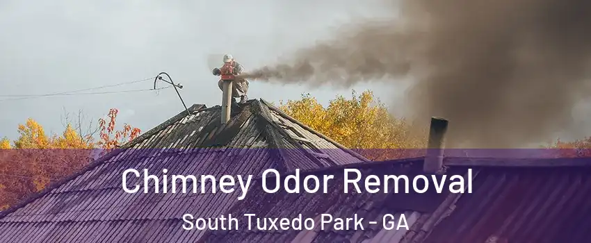Chimney Odor Removal South Tuxedo Park - GA