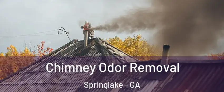 Chimney Odor Removal Springlake - GA
