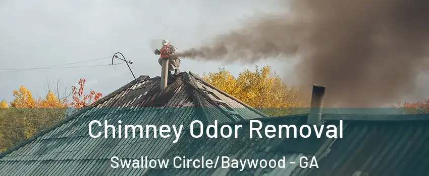 Chimney Odor Removal Swallow Circle/Baywood - GA