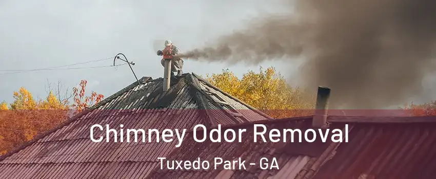 Chimney Odor Removal Tuxedo Park - GA