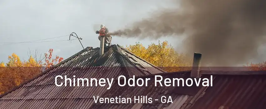 Chimney Odor Removal Venetian Hills - GA