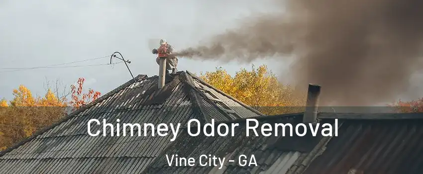 Chimney Odor Removal Vine City - GA