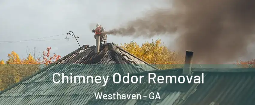 Chimney Odor Removal Westhaven - GA