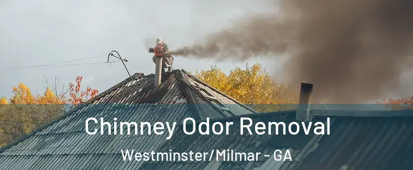 Chimney Odor Removal Westminster/Milmar - GA