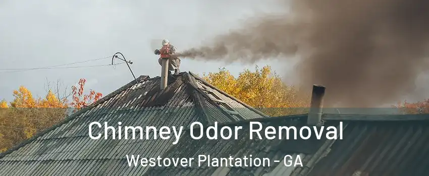 Chimney Odor Removal Westover Plantation - GA