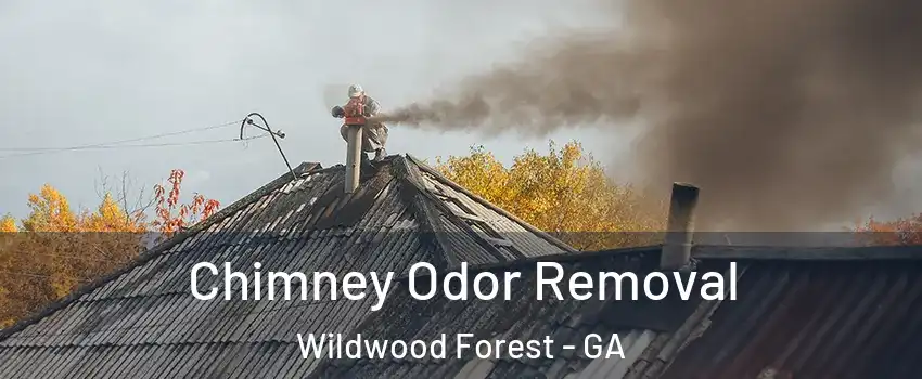Chimney Odor Removal Wildwood Forest - GA