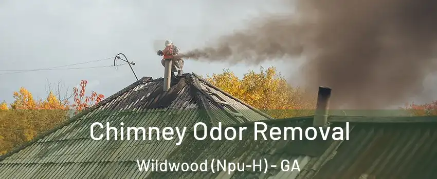 Chimney Odor Removal Wildwood (Npu-H) - GA