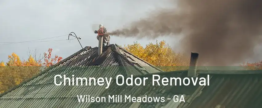 Chimney Odor Removal Wilson Mill Meadows - GA