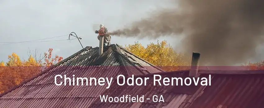 Chimney Odor Removal Woodfield - GA