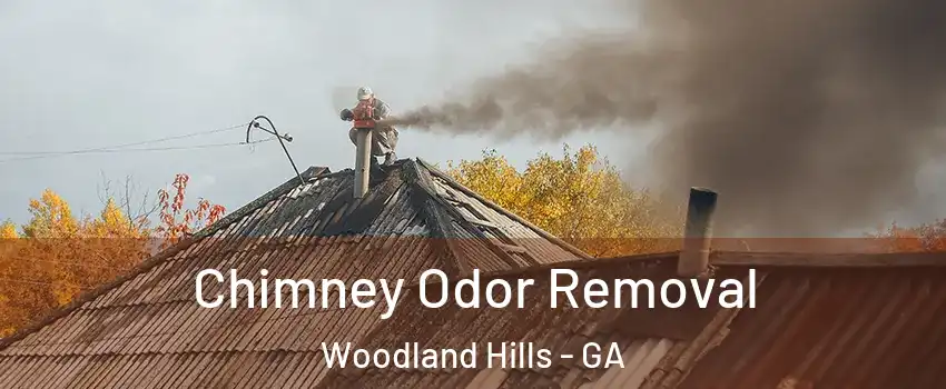 Chimney Odor Removal Woodland Hills - GA