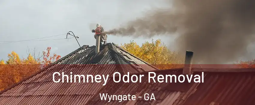 Chimney Odor Removal Wyngate - GA