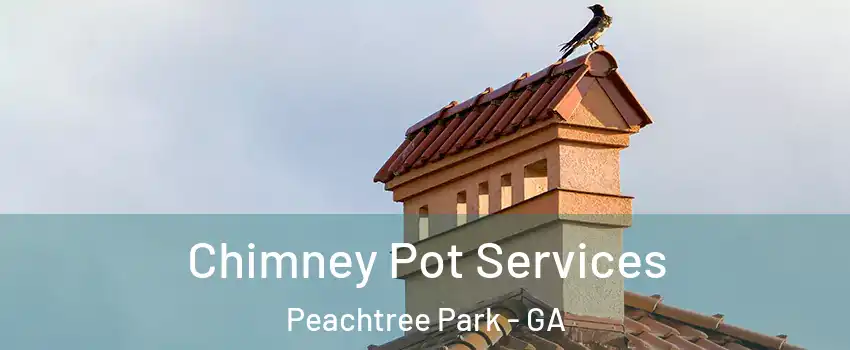 Chimney Pot Services Peachtree Park - GA