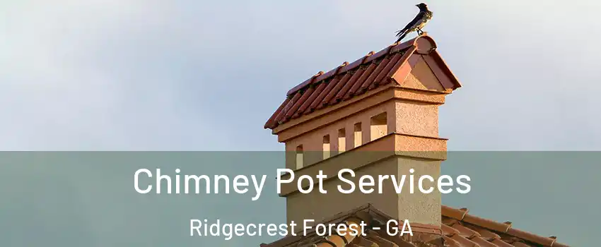 Chimney Pot Services Ridgecrest Forest - GA