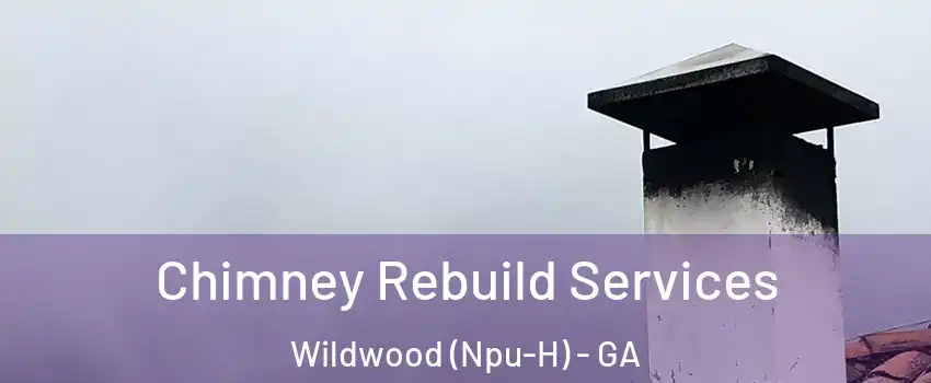 Chimney Rebuild Services Wildwood (Npu-H) - GA