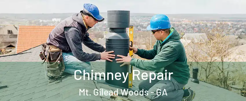 Chimney Repair Mt. Gilead Woods - GA