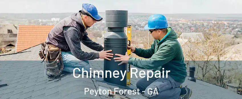 Chimney Repair Peyton Forest - GA