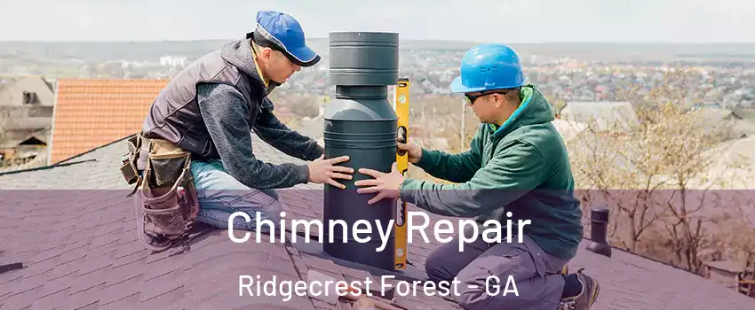 Chimney Repair Ridgecrest Forest - GA