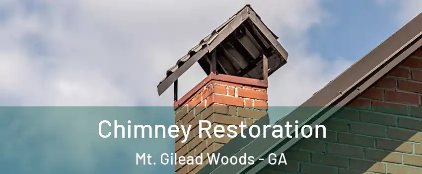 Chimney Restoration Mt. Gilead Woods - GA