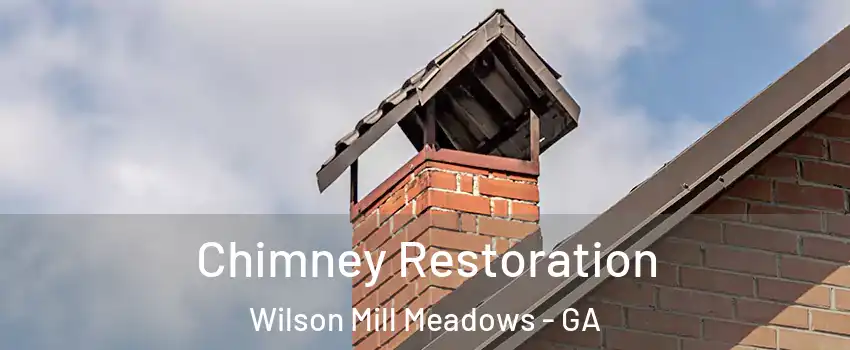 Chimney Restoration Wilson Mill Meadows - GA