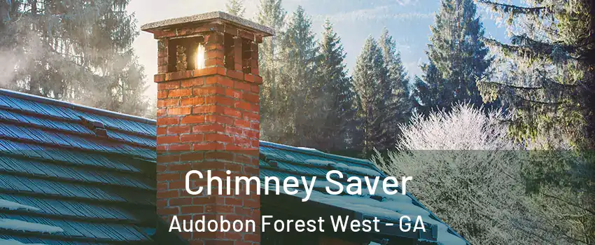 Chimney Saver Audobon Forest West - GA