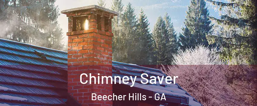 Chimney Saver Beecher Hills - GA