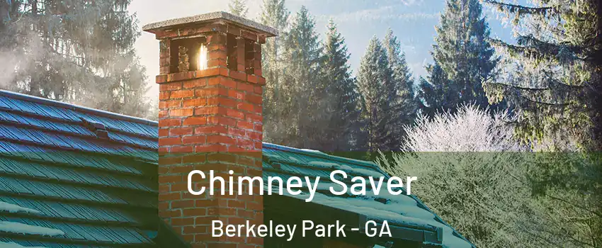 Chimney Saver Berkeley Park - GA