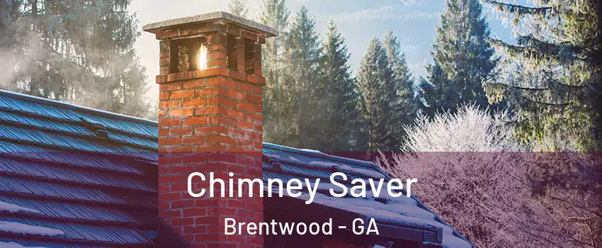 Chimney Saver Brentwood - GA