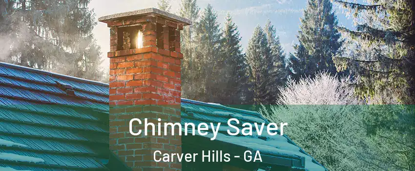 Chimney Saver Carver Hills - GA