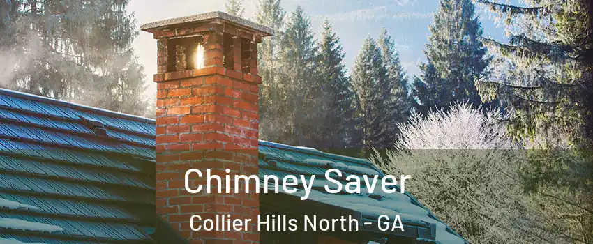 Chimney Saver Collier Hills North - GA