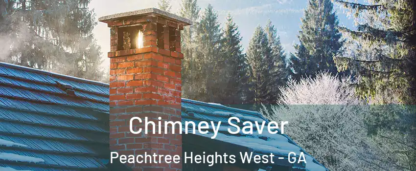 Chimney Saver Peachtree Heights West - GA