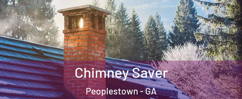 Chimney Saver Peoplestown - GA